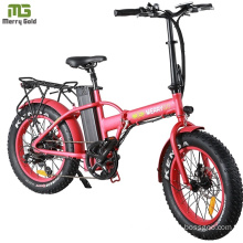 20 Inch Rear Drive Foldable Electric Bike with Lithium Battery